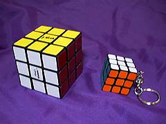 [$B%_%K%-%e!<%V<L??(J:Progressive-JPEG:240x180pixels]