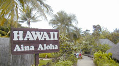 ハワイ村